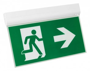 {{productViewItem.photos[photoViewList.activeNavIndex].Alt || productViewItem.photos[photoViewList.activeNavIndex].Description || 'Светильник-указатель Arlight EMERGENCY 045655'}}