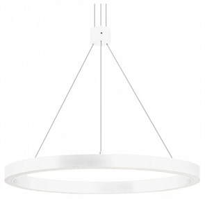 {{productViewItem.photos[photoViewList.activeNavIndex].Alt || productViewItem.photos[photoViewList.activeNavIndex].Description || 'Подвесной светильник Arlight CONGO 046212'}}