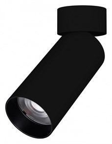 {{productViewItem.photos[photoViewList.activeNavIndex].Alt || productViewItem.photos[photoViewList.activeNavIndex].Description || 'Светильник на штанге Arlight GABI 049923'}}