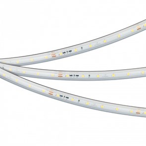 Лента светодиодная Arlight IC-PS-A60-10mm 24V 050655