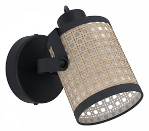 Спот Eglo ПРОМО Ruscomb 43493