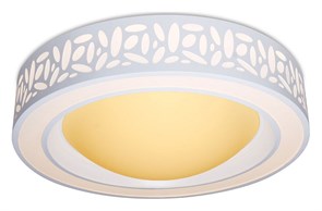 {{productViewItem.photos[photoViewList.activeNavIndex].Alt || productViewItem.photos[photoViewList.activeNavIndex].Description || 'Накладной светильник Ambrella Light Orbital Design F210 WH 96W D520'}}
