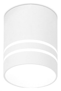 {{productViewItem.photos[photoViewList.activeNavIndex].Alt || productViewItem.photos[photoViewList.activeNavIndex].Description || 'Накладной светильник Ambrella Light TN TN240'}}