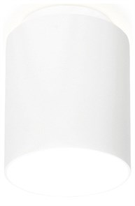 {{productViewItem.photos[photoViewList.activeNavIndex].Alt || productViewItem.photos[photoViewList.activeNavIndex].Description || 'Накладной светильник Ambrella Light TN TN261'}}
