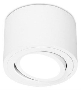 {{productViewItem.photos[photoViewList.activeNavIndex].Alt || productViewItem.photos[photoViewList.activeNavIndex].Description || 'Накладной светильник Ambrella Light TN TN222'}}