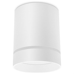 {{productViewItem.photos[photoViewList.activeNavIndex].Alt || productViewItem.photos[photoViewList.activeNavIndex].Description || 'Накладной светильник Ambrella Light TN TN280'}}