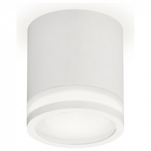 {{productViewItem.photos[photoViewList.activeNavIndex].Alt || productViewItem.photos[photoViewList.activeNavIndex].Description || 'Накладной светильник Ambrella Light XS XS7401041'}}