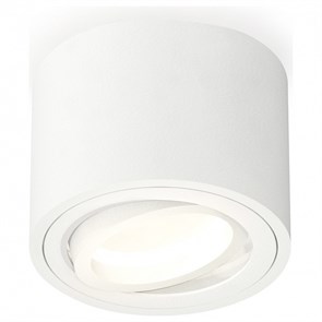 {{productViewItem.photos[photoViewList.activeNavIndex].Alt || productViewItem.photos[photoViewList.activeNavIndex].Description || 'Накладной светильник Ambrella Light XS XS7510001'}}