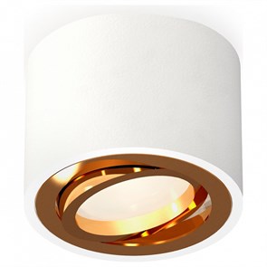 {{productViewItem.photos[photoViewList.activeNavIndex].Alt || productViewItem.photos[photoViewList.activeNavIndex].Description || 'Накладной светильник Ambrella Light XS XS7510004'}}