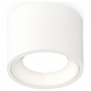 {{productViewItem.photos[photoViewList.activeNavIndex].Alt || productViewItem.photos[photoViewList.activeNavIndex].Description || 'Накладной светильник Ambrella Light XS XS7510010'}}