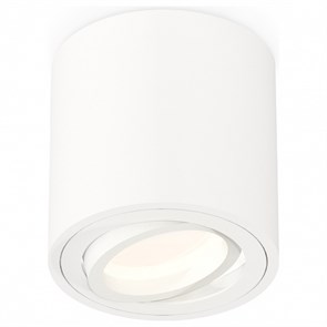{{productViewItem.photos[photoViewList.activeNavIndex].Alt || productViewItem.photos[photoViewList.activeNavIndex].Description || 'Накладной светильник Ambrella Light XS XS7531001'}}
