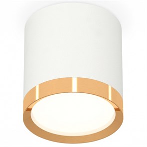 {{productViewItem.photos[photoViewList.activeNavIndex].Alt || productViewItem.photos[photoViewList.activeNavIndex].Description || 'Накладной светильник Ambrella Light XS XS8141004'}}