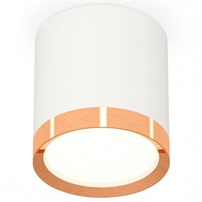 {{productViewItem.photos[photoViewList.activeNavIndex].Alt || productViewItem.photos[photoViewList.activeNavIndex].Description || 'Накладной светильник Ambrella Light XS XS8141005'}}