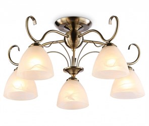 {{productViewItem.photos[photoViewList.activeNavIndex].Alt || productViewItem.photos[photoViewList.activeNavIndex].Description || 'Потолочная люстра Ambrella Light TR TR3046'}}