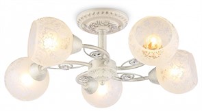 {{productViewItem.photos[photoViewList.activeNavIndex].Alt || productViewItem.photos[photoViewList.activeNavIndex].Description || 'Люстра на штанге Ambrella Light TR TR3062'}}