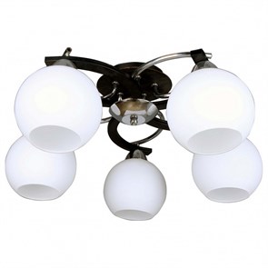 {{productViewItem.photos[photoViewList.activeNavIndex].Alt || productViewItem.photos[photoViewList.activeNavIndex].Description || 'Потолочная люстра Omnilux Caldiero OML-25407-05'}}