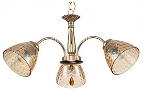 {{productViewItem.photos[photoViewList.activeNavIndex].Alt || productViewItem.photos[photoViewList.activeNavIndex].Description || 'Подвесная люстра Escada Freesia 658/3PL Gold'}}