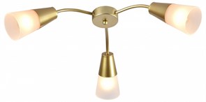 {{productViewItem.photos[photoViewList.activeNavIndex].Alt || productViewItem.photos[photoViewList.activeNavIndex].Description || 'Потолочная люстра Escada Aquilegia 1100/3P Gold'}}