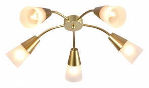 {{productViewItem.photos[photoViewList.activeNavIndex].Alt || productViewItem.photos[photoViewList.activeNavIndex].Description || 'Потолочная люстра Escada Aquilegia 1100/5P Gold'}}