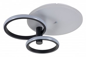 {{productViewItem.photos[photoViewList.activeNavIndex].Alt || productViewItem.photos[photoViewList.activeNavIndex].Description || 'Светильник на штанге Escada Contour 10213/2LED BL White'}}