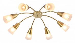 {{productViewItem.photos[photoViewList.activeNavIndex].Alt || productViewItem.photos[photoViewList.activeNavIndex].Description || 'Потолочная люстра Escada Aquilegia 1100/8P Gold'}}