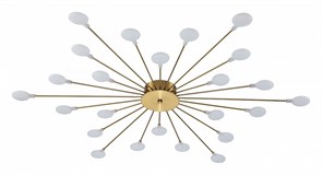 {{productViewItem.photos[photoViewList.activeNavIndex].Alt || productViewItem.photos[photoViewList.activeNavIndex].Description || 'Потолочная люстра Escada Starfall 2109/1 Copper'}}