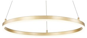 {{productViewItem.photos[photoViewList.activeNavIndex].Alt || productViewItem.photos[photoViewList.activeNavIndex].Description || 'Подвесной светильник Escada Void 10254/1LED Gold APP'}}