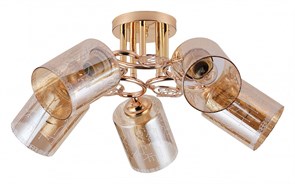 {{productViewItem.photos[photoViewList.activeNavIndex].Alt || productViewItem.photos[photoViewList.activeNavIndex].Description || 'Потолочная люстра Escada Neulia 1118/5PL'}}