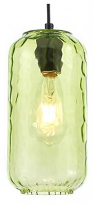 {{productViewItem.photos[photoViewList.activeNavIndex].Alt || productViewItem.photos[photoViewList.activeNavIndex].Description || 'Подвесной светильник Escada Rise 10177/1S Black/Green'}}