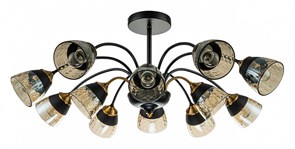 {{productViewItem.photos[photoViewList.activeNavIndex].Alt || productViewItem.photos[photoViewList.activeNavIndex].Description || 'Люстра на штанге Escada Bouquet 1148/12P'}}