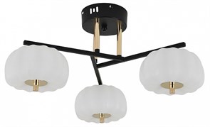 {{productViewItem.photos[photoViewList.activeNavIndex].Alt || productViewItem.photos[photoViewList.activeNavIndex].Description || 'Люстра на штанге Escada Halma 10301/3LED'}}