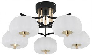 {{productViewItem.photos[photoViewList.activeNavIndex].Alt || productViewItem.photos[photoViewList.activeNavIndex].Description || 'Люстра на штанге Escada Halma 10301/5LED'}}