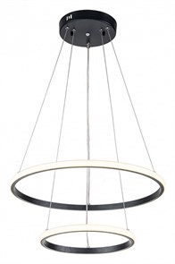 {{productViewItem.photos[photoViewList.activeNavIndex].Alt || productViewItem.photos[photoViewList.activeNavIndex].Description || 'Подвесной светильник Escada Euler 10228/2LED'}}
