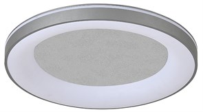 {{productViewItem.photos[photoViewList.activeNavIndex].Alt || productViewItem.photos[photoViewList.activeNavIndex].Description || 'Накладной светильник Escada Lemma 628/A LED'}}