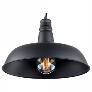 {{productViewItem.photos[photoViewList.activeNavIndex].Alt || productViewItem.photos[photoViewList.activeNavIndex].Description || 'Подвесной светильник Citilux Эдисон CL450204'}}