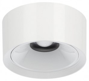 {{productViewItem.photos[photoViewList.activeNavIndex].Alt || productViewItem.photos[photoViewList.activeNavIndex].Description || 'Накладной светильник Citilux Rover CL743060N'}}