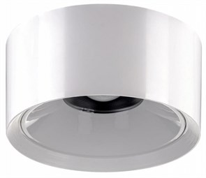 {{productViewItem.photos[photoViewList.activeNavIndex].Alt || productViewItem.photos[photoViewList.activeNavIndex].Description || 'Накладной светильник Citilux Rover CL743090N'}}