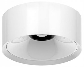 {{productViewItem.photos[photoViewList.activeNavIndex].Alt || productViewItem.photos[photoViewList.activeNavIndex].Description || 'Накладной светильник Citilux Rover CL743150N'}}