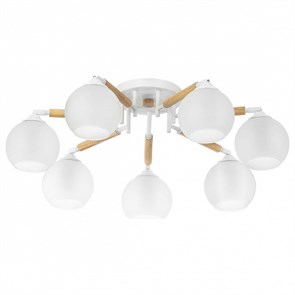 {{productViewItem.photos[photoViewList.activeNavIndex].Alt || productViewItem.photos[photoViewList.activeNavIndex].Description || 'Потолочная люстра Citilux Tika CL133170'}}