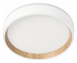 {{productViewItem.photos[photoViewList.activeNavIndex].Alt || productViewItem.photos[photoViewList.activeNavIndex].Description || 'Накладной светильник Citilux Etalon CL750180'}}