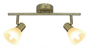 Спот Arte Lamp Parry A5062AP-2AB