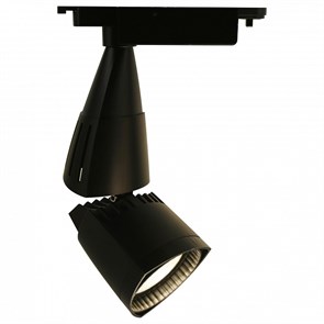 {{productViewItem.photos[photoViewList.activeNavIndex].Alt || productViewItem.photos[photoViewList.activeNavIndex].Description || 'Светильник на штанге Arte Lamp 3830 A3830PL-1BK'}}