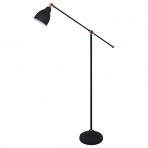 {{productViewItem.photos[photoViewList.activeNavIndex].Alt || productViewItem.photos[photoViewList.activeNavIndex].Description || 'Торшер Arte Lamp Braccio A2054PN-1BK'}}
