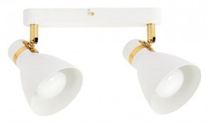 {{productViewItem.photos[photoViewList.activeNavIndex].Alt || productViewItem.photos[photoViewList.activeNavIndex].Description || 'Спот Arte Lamp Fafnir A5047PL-2WH'}}