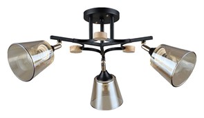 {{productViewItem.photos[photoViewList.activeNavIndex].Alt || productViewItem.photos[photoViewList.activeNavIndex].Description || 'Люстра на штанге Arte Lamp Glassy A5078PL-3BK'}}