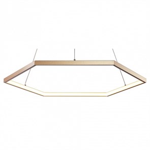 {{productViewItem.photos[photoViewList.activeNavIndex].Alt || productViewItem.photos[photoViewList.activeNavIndex].Description || 'Подвесной светильник Favourite Hexagon 2103-6P'}}