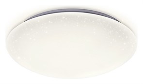 {{productViewItem.photos[photoViewList.activeNavIndex].Alt || productViewItem.photos[photoViewList.activeNavIndex].Description || 'Накладной светильник Ambrella Light FF FF42'}}