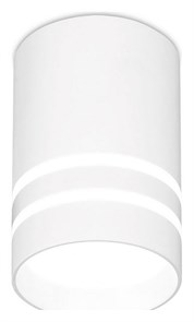 {{productViewItem.photos[photoViewList.activeNavIndex].Alt || productViewItem.photos[photoViewList.activeNavIndex].Description || 'Накладной светильник Ambrella Light TN TN235'}}