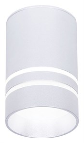 {{productViewItem.photos[photoViewList.activeNavIndex].Alt || productViewItem.photos[photoViewList.activeNavIndex].Description || 'Накладной светильник Ambrella Light TN TN236'}}