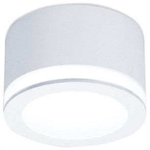 {{productViewItem.photos[photoViewList.activeNavIndex].Alt || productViewItem.photos[photoViewList.activeNavIndex].Description || 'Накладной светильник Ambrella Light TN TN265'}}